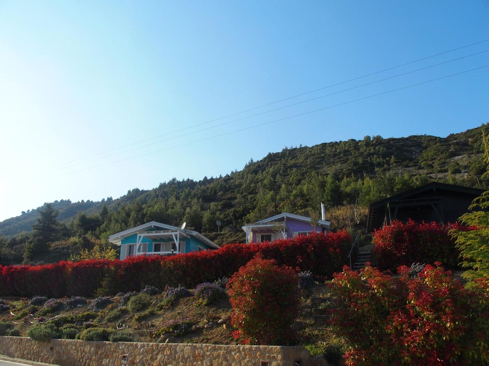 Ktima Noosfera Wellness & Retreat Center Hotel Karia  Ngoại thất bức ảnh